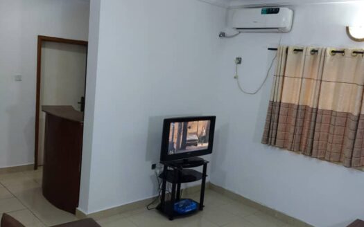 Serviced 2BR Apartment, Lekki Phase 1. N11Mill