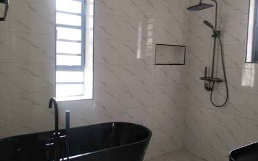 Exquisitely designed 4BR Detached House @ Sangotedo N150Mill