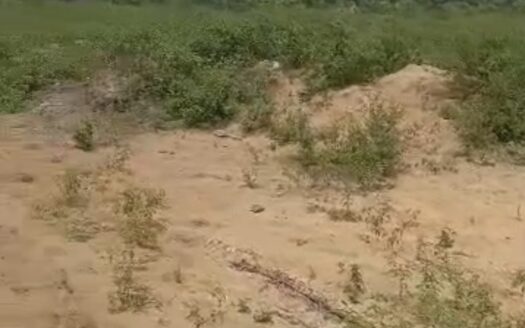 10 Hectares facing Lekki Epe Expressway at Elerangbe N35Mill